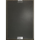 Pink Floyd The Wall RIAA 8x Multi-Platinum Award - Record Award