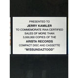 P!nk M!ssundaztood RIAA 3x Multi-Platinum Album Award