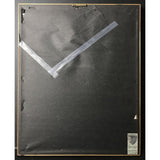 Public Enemy Multi-Platinum Label Award presented to Dr. Dre - RARE