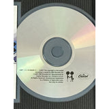 Radiohead OK Computer RIAA Platinum Album Award - Record Award