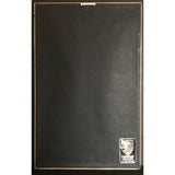 Ricky Martin self-titled RIAA 5x Multi-Platinum Album Award - Record Award