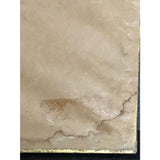 Rod Stewart Camouflage RIAA Gold Album Award