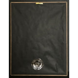Santana All That I Am RIAA Gold Award - Record Award