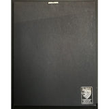Shawn Mullins Soul’s Core RIAA Gold Album Award