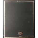 Shinedown Leave A Whisper RIAA Gold Album Award