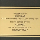 Soul Asylum Runaway Train RIAA Gold Single Award - Record Award