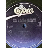 Stevie Ray Vaughan In Step RIAA Gold LP Award