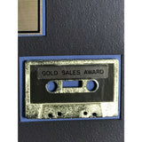 Stevie Ray Vaughan In Step RIAA Gold LP Award