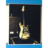 Stevie Ray Vaughan The Sky Is Crying RIAA Platinum Album Award - Record Award