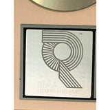 Stevie Ray Vaughan The Sky Is Crying RIAA Platinum Album Award - Record Award