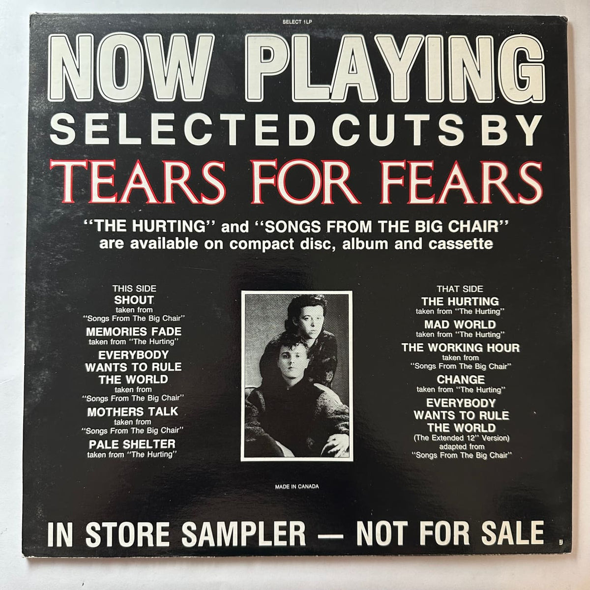 musicgoldmine.com - Tears For Fears Selected Cuts In Store