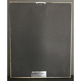The B-52s Cosmic Thing RIAA Gold Album Award