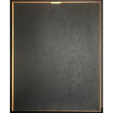 The D.O.C. No One Can Do It Better RIAA Gold Album Award - Record Award