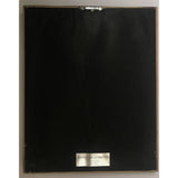 The Smithereens Ii Riaa Gold Album Award