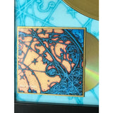 The Strokes Is This It RIAA Gold Album Award - Record Award