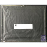 Third Eye Blind debut album RIAA Platinum Award - NEW sealed