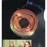Third Eye Blind debut album RIAA Platinum Award - NEW sealed