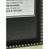 Tim McGraw A Place In The Sun RIAA 2x Multi-Platinum Album Award - Record Award