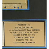 Tori Amos Little Earthquakes RIAA Gold Album Award - Record Award