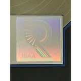 Travis Tritt t-r-o-u-b-l-e Platinum Album Award - Record Award