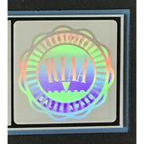 UB40 Labour Of Love RIAA Platinum LP Award - Record Award