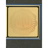 Vanessa Williams The Right Stuff RIAA Gold LP Award - Record Award