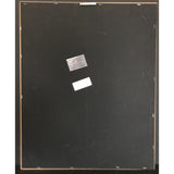 Vanessa Williams The Right Stuff RIAA Gold LP Award - Record Award
