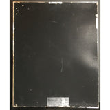 ZZ Top Eliminator RIAA 5x Multi-Platinum Album Award - Record Award
