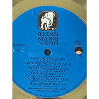 10,000 Maniacs Blind Man’s Zoo RIAA Gold Album Award - Record Award