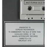 2Pac Greatest Hits RIAA 5x Multi-Platinum Album Award - RARE - Record Award