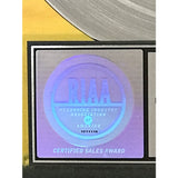 3 Doors Down Away From The Sun RIAA 3x Multi-Platinum Album Award - Record Award