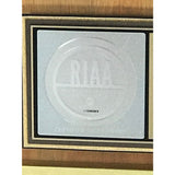 3 Doors Down The Better Life RIAA Gold Album Award - Record Award