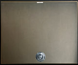 Warren Zevon The Wind RIAA Gold Album Award