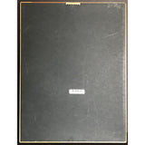 Aaliyah One In A Million RIAA Platinum Album Award - Record Award