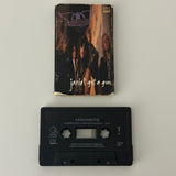 Aerosmith ’Janie’s Got a Gun’ Cassette Single (1989) 22727-4 - Media