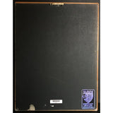 Aerosmith Nine Lives RIAA 2x Multi-Platinum Album Award - Record Award