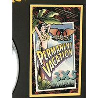 Aerosmith Permanent Vacation RIAA 2x Platinum Album Award - Record Award