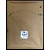 Al Green Greatest Hits RIAA Platinum Album Award - Record Award