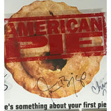 American Pie Soundtrack RIAA Gold Award Signed by Cast Members Biggs Hannigan Klein Levy - RARE - Record Award