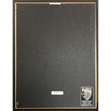 Anastasia soundtrack RIAA Gold Album Award - Record Award