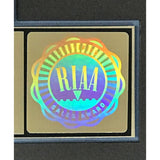 Anita Baker Rapture RIAA Gold Album Award - Record Award