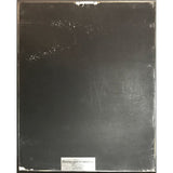 Anita Baker Rapture RIAA Gold Album Award - Record Award