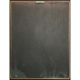 Anthrax Persistence Of Time RIAA Gold Album Award - Record Award