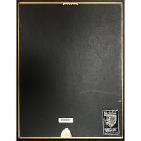 Armageddon soundtrack RIAA 2x Multi-Platinum Album Award - Record Award
