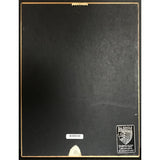 Armageddon soundtrack RIAA 2x Multi-Platinum Album Award - Record Award