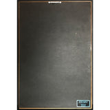 Beatles Live At The BBC RIAA 4x Platinum LP Award - Record Award