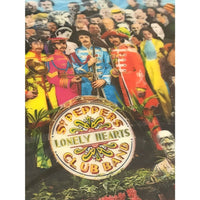 Beatles Sgt Pepper’s Lonely Hearts Club Band 2017 CD/DVD Box Set w/ Extras - Media