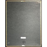 Bette Midler Bette Of Roses RIAA Gold Album Award - Record Award