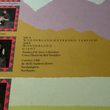 Big Country ’Wonderland’ 12’’-45rpm 1984 UK Import Single COUNT512 - Media
