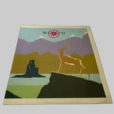 Big Country ’Wonderland’ 12’’-45rpm 1984 UK Import Single COUNT512 - Media